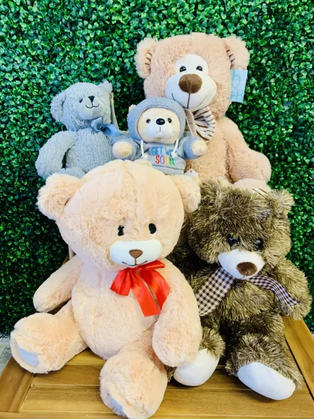 Assorted Plush — Alabaster Florist