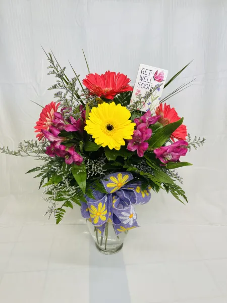 Get Well Gerbera Arrangement — Alabaster Florist