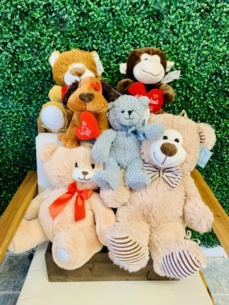Assorted Plush — Alabaster Florist