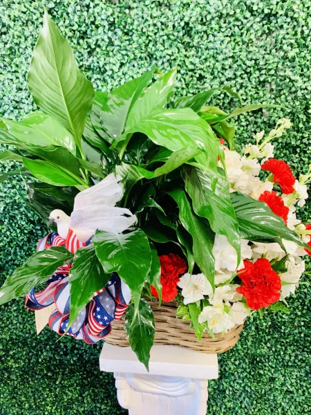 Small Peace Lily with Carnation Arrangement — Alabaster Florist